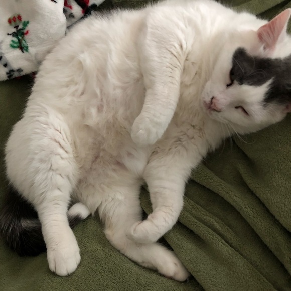 Meet your Posher, Nadine - Picture 2 of 6